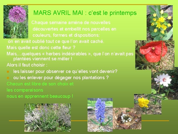 MARS AVRIL MAI : c’est le printemps Chaque semaine amène de nouvelles découvertes et