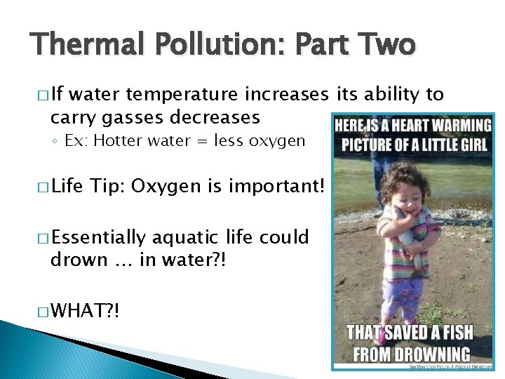 Thermal Pollution: Part Two � If water temperature increases its ability to carry gasses