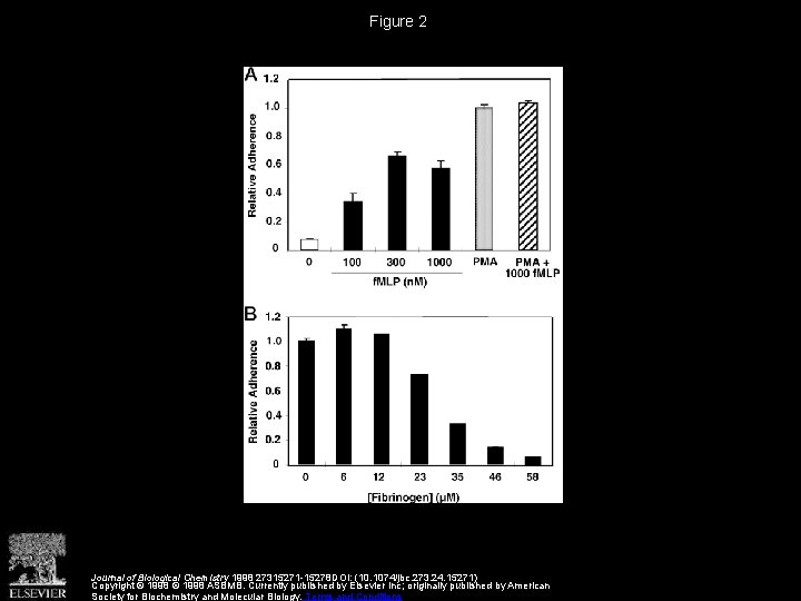 Figure 2 Journal of Biological Chemistry 1998 27315271 -15278 DOI: (10. 1074/jbc. 273. 24.