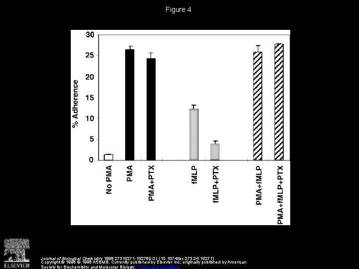 Figure 4 Journal of Biological Chemistry 1998 27315271 -15278 DOI: (10. 1074/jbc. 273. 24.