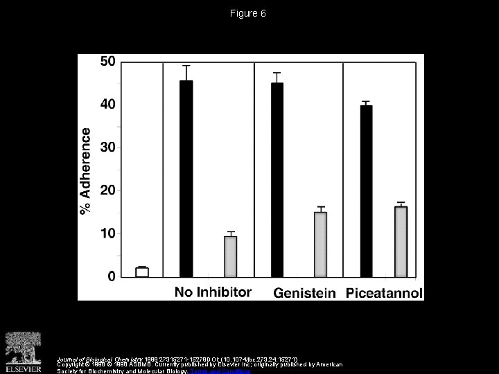 Figure 6 Journal of Biological Chemistry 1998 27315271 -15278 DOI: (10. 1074/jbc. 273. 24.