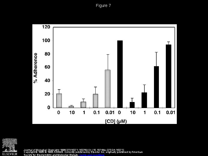 Figure 7 Journal of Biological Chemistry 1998 27315271 -15278 DOI: (10. 1074/jbc. 273. 24.