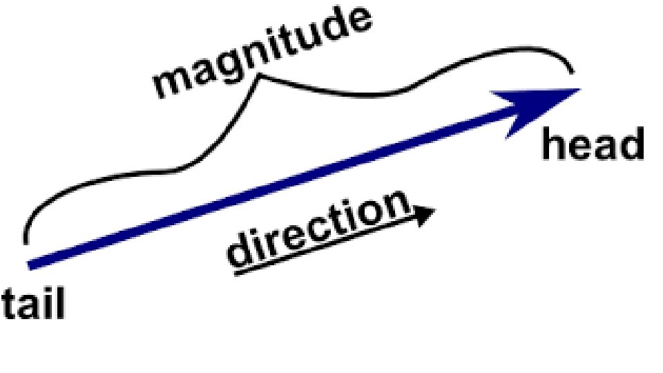 Graphic Representation of a Vector. Elements of a Vector 1. Length represents magnitude 2.