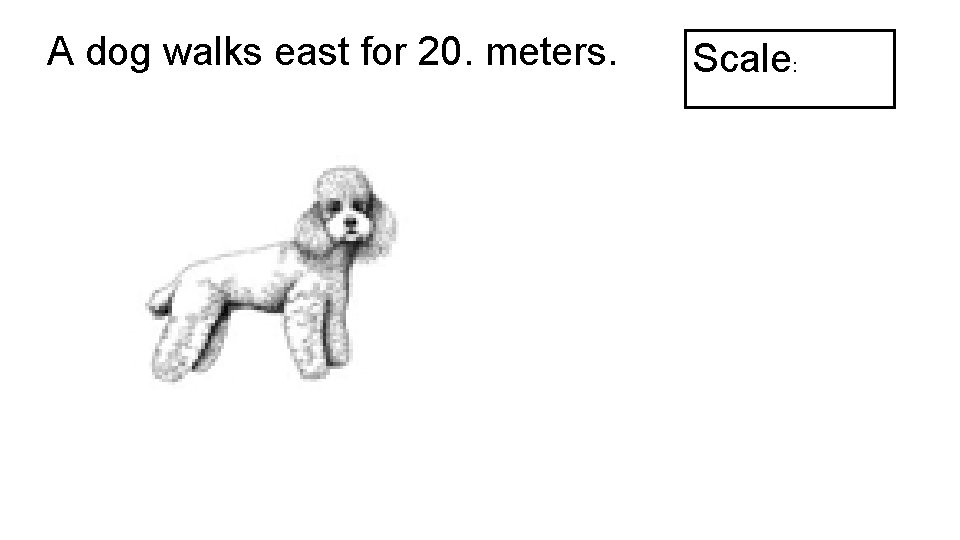 A dog walks east for 20. meters. Scale: 