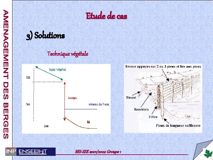 Etude de cas 3) Solutions Technique végétale BEI-SEE 2001/2002 Groupe 1 