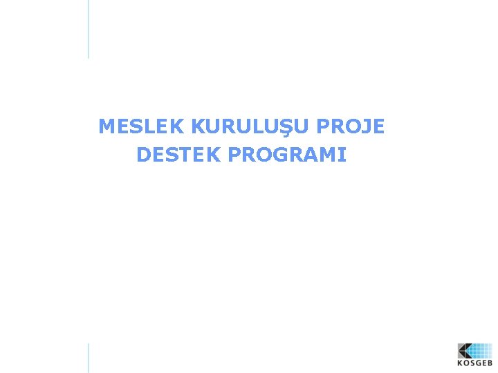 MESLEK KURULUŞU PROJE DESTEK PROGRAMI 