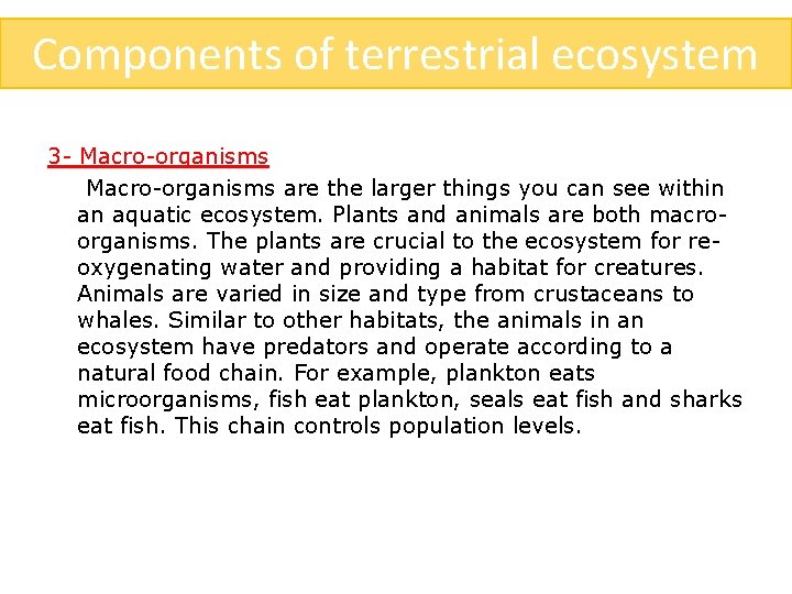 Components of terrestrial ecosystem 3 - Macro-organisms are the larger things you can see