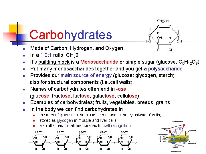 Carbohydrates n n n n Made of Carbon, Hydrogen, and Oxygen In a 1: