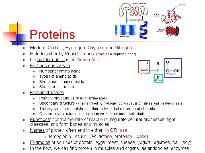 Proteins n n Made of Carbon, Hydrogen, Oxygen, and Nitrogen Held together by Peptide
