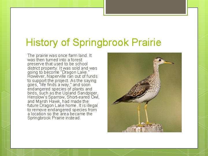 History of Springbrook Prairie The prairie was once farm land. It was then turned