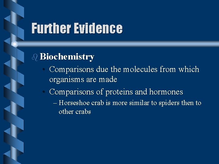 Further Evidence b Biochemistry • Comparisons due the molecules from which organisms are made