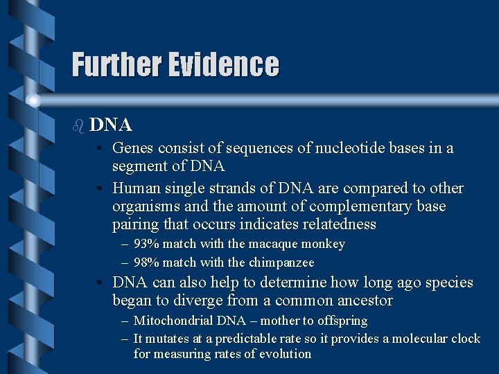 Further Evidence b DNA • Genes consist of sequences of nucleotide bases in a