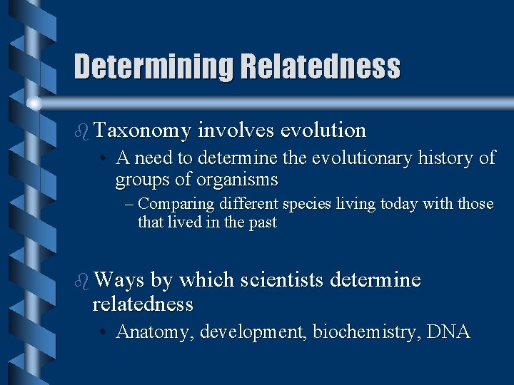 Determining Relatedness b Taxonomy involves evolution • A need to determine the evolutionary history