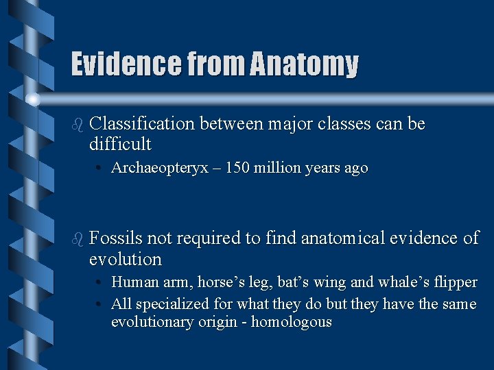 Evidence from Anatomy b Classification between major classes can be difficult • Archaeopteryx –