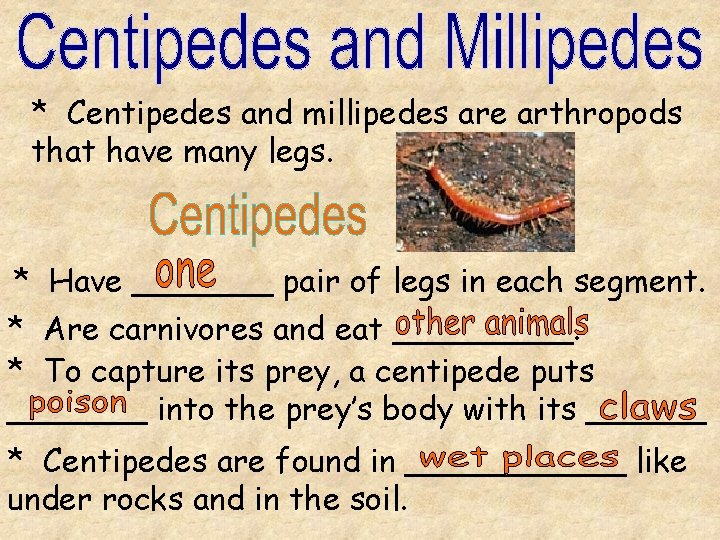 * Centipedes and millipedes are arthropods that have many legs. * Have _______ pair