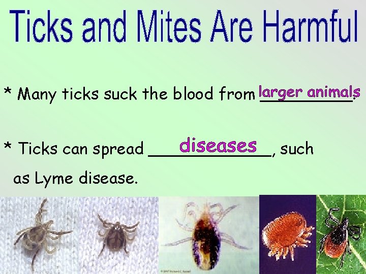 * Many ticks suck the blood from _____. * Ticks can spread ______, such