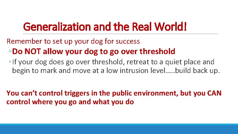 Generalization and the Real World! Remember to set up your dog for success ◦