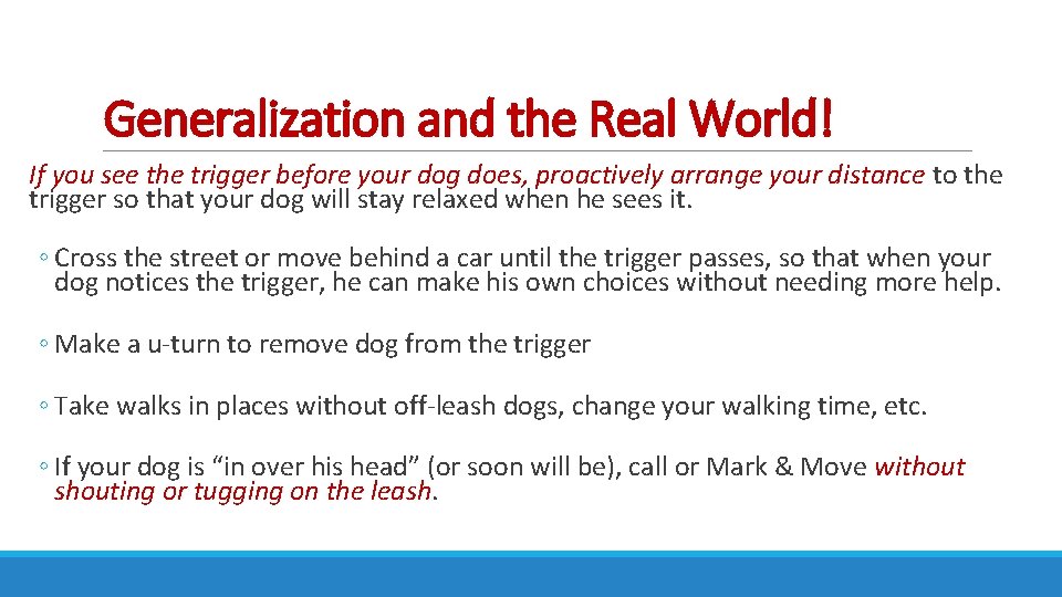 Generalization and the Real World! If you see the trigger before your dog does,