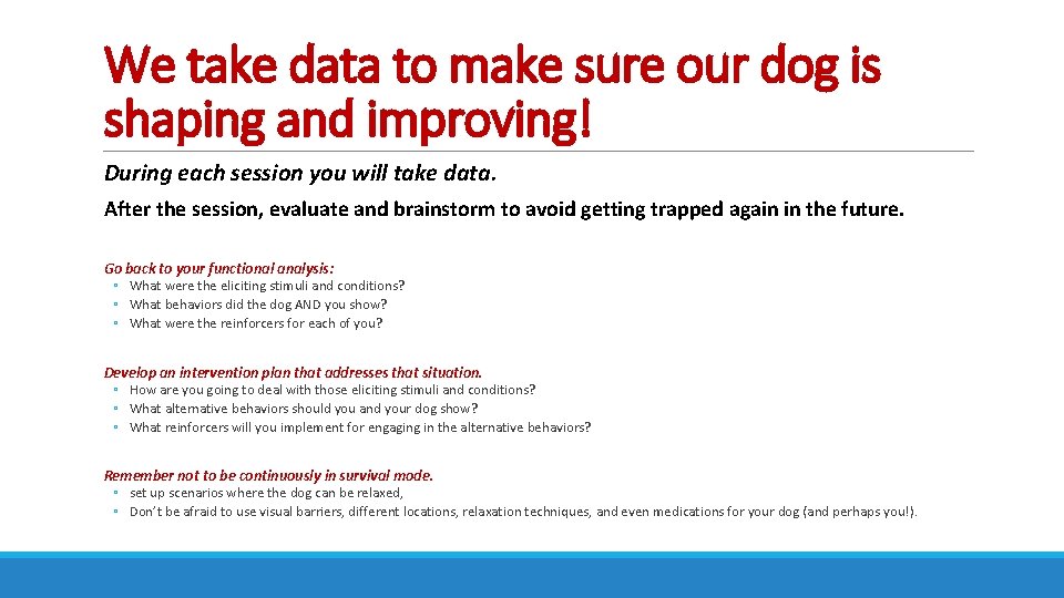 We take data to make sure our dog is shaping and improving! During each