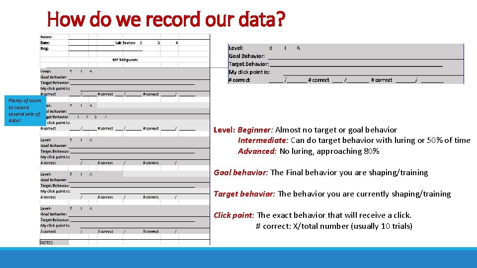 How do we record our data? Plenty of room to record several sets of