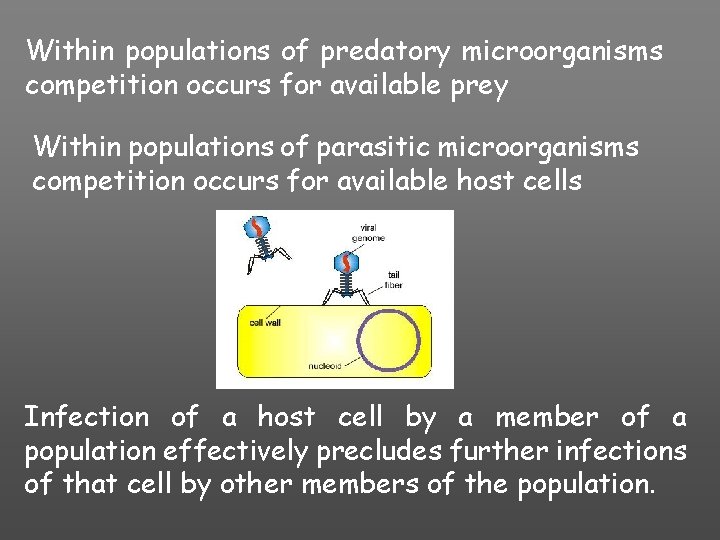 Within populations of predatory microorganisms competition occurs for available prey Within populations of parasitic