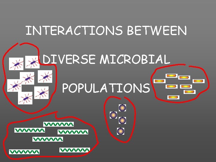 INTERACTIONS BETWEEN DIVERSE MICROBIAL POPULATIONS 