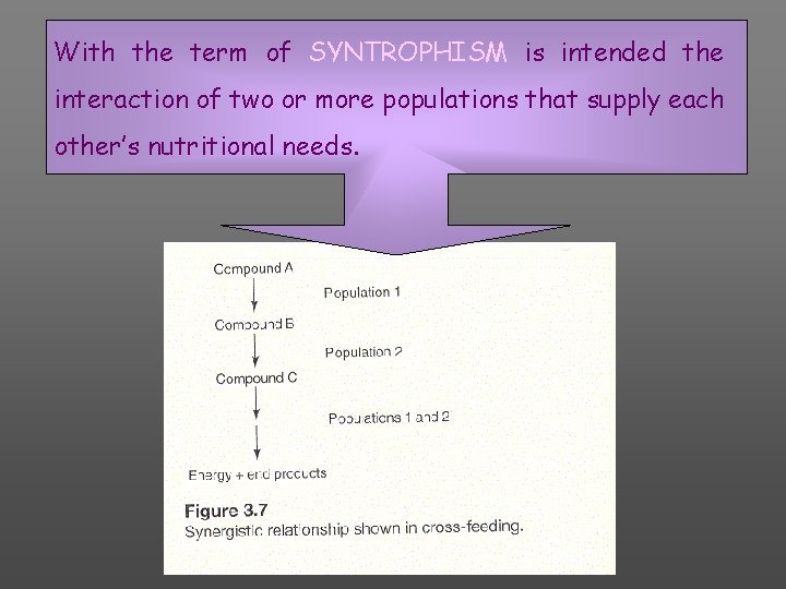 With the term of SYNTROPHISM is intended the interaction of two or more populations