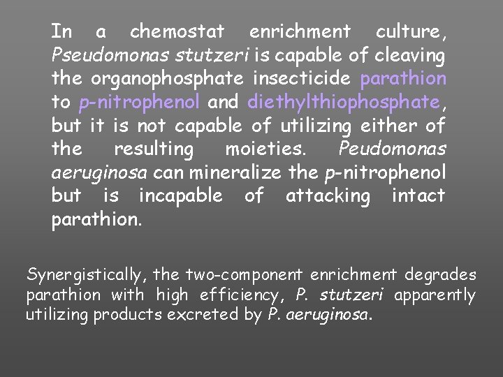 In a chemostat enrichment culture, Pseudomonas stutzeri is capable of cleaving the organophosphate insecticide