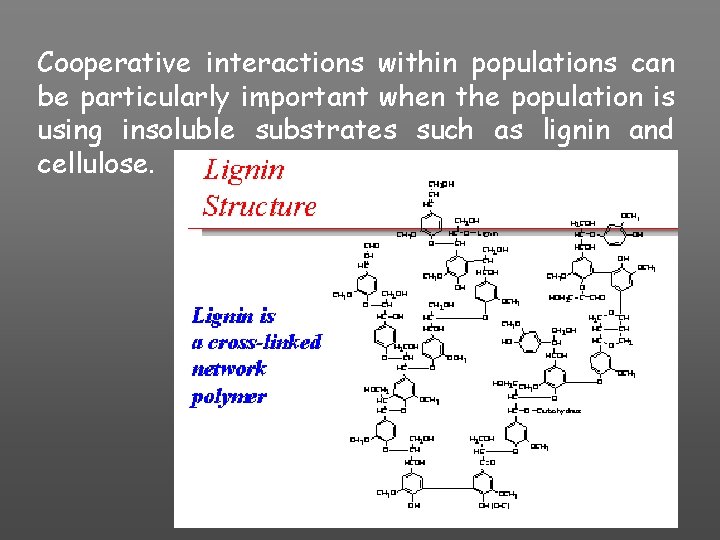 Cooperative interactions within populations can be particularly important when the population is using insoluble