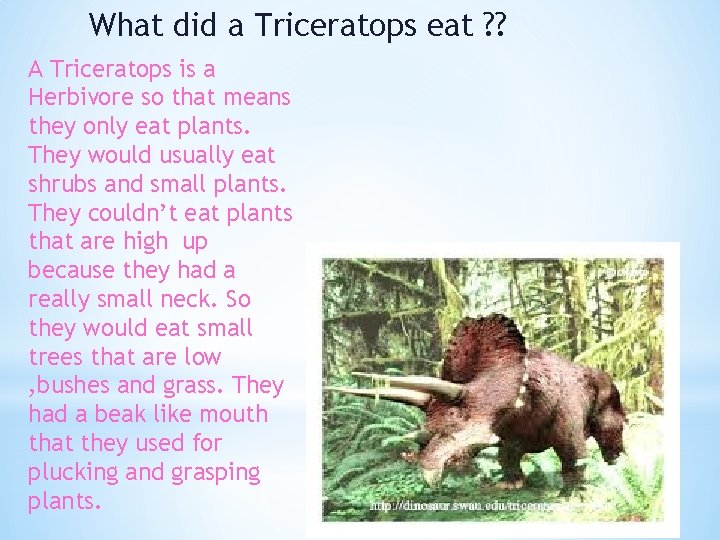 What did a Triceratops eat ? ? A Triceratops is a Herbivore so that