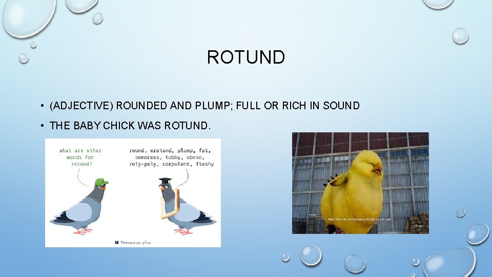 ROTUND • (ADJECTIVE) ROUNDED AND PLUMP; FULL OR RICH IN SOUND • THE BABY