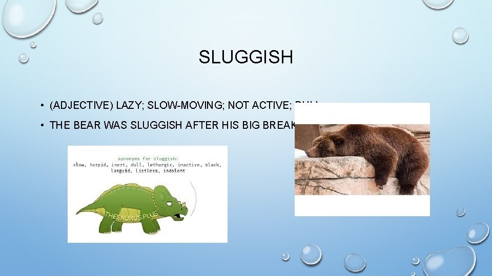 SLUGGISH • (ADJECTIVE) LAZY; SLOW-MOVING; NOT ACTIVE; DULL • THE BEAR WAS SLUGGISH AFTER