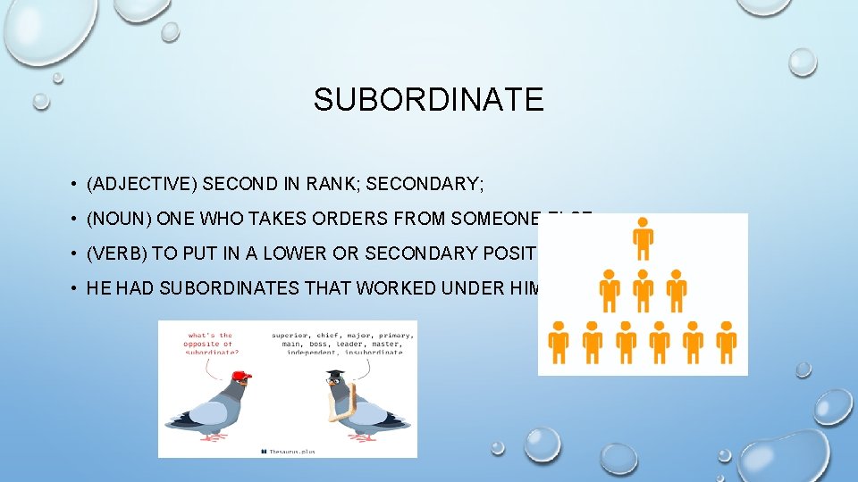SUBORDINATE • (ADJECTIVE) SECOND IN RANK; SECONDARY; • (NOUN) ONE WHO TAKES ORDERS FROM