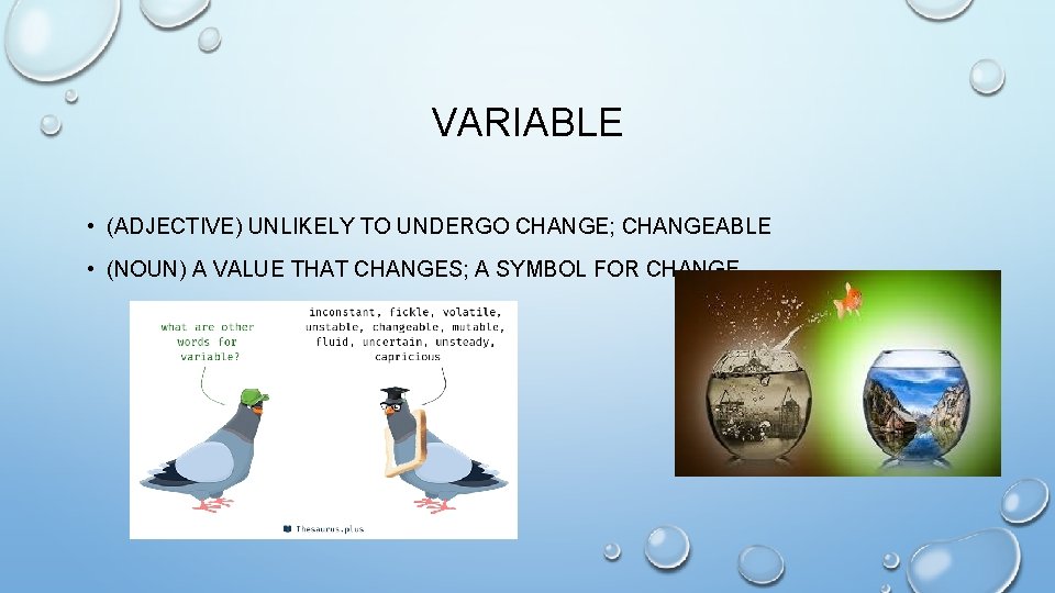 VARIABLE • (ADJECTIVE) UNLIKELY TO UNDERGO CHANGE; CHANGEABLE • (NOUN) A VALUE THAT CHANGES;