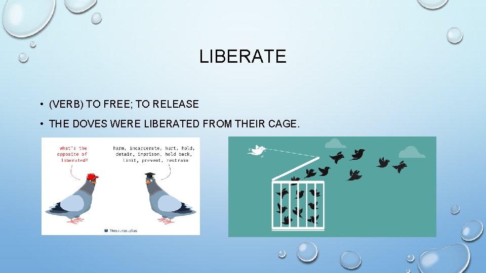 LIBERATE • (VERB) TO FREE; TO RELEASE • THE DOVES WERE LIBERATED FROM THEIR