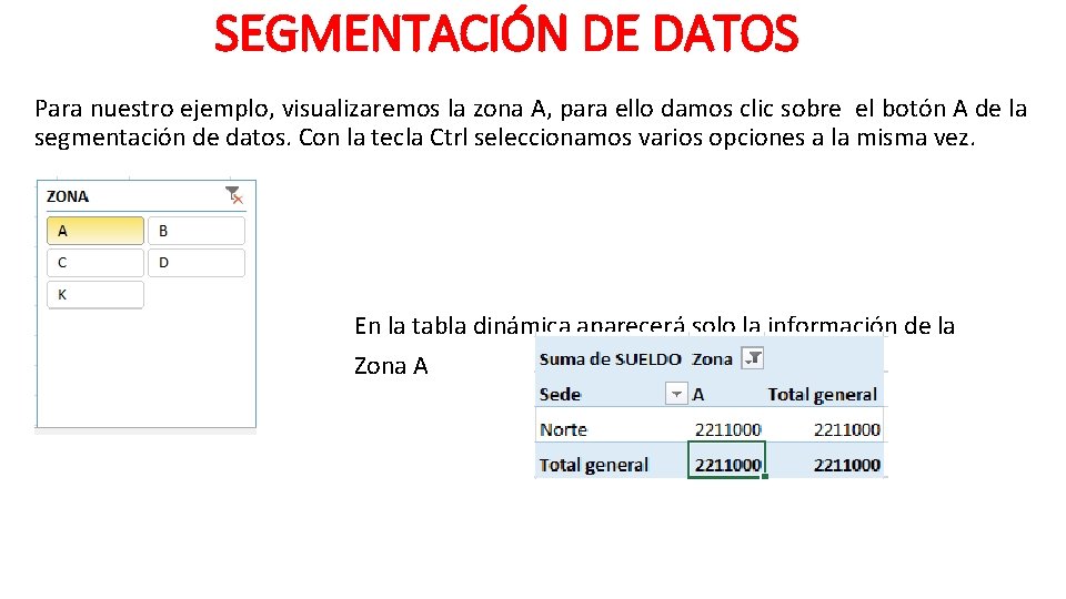 SEGMENTACIÓN DE DATOS Para nuestro ejemplo, visualizaremos la zona A, para ello damos clic