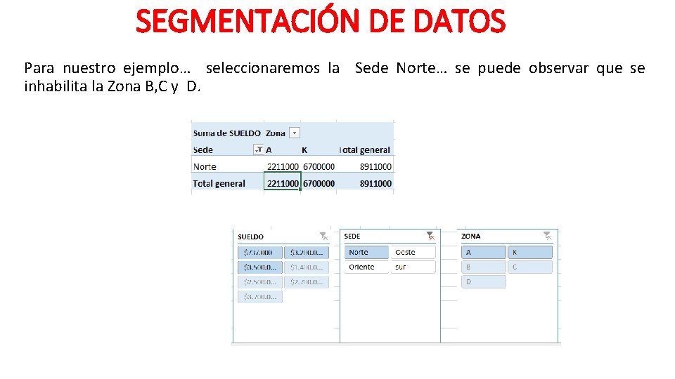 SEGMENTACIÓN DE DATOS Para nuestro ejemplo… seleccionaremos la Sede Norte… se puede observar que