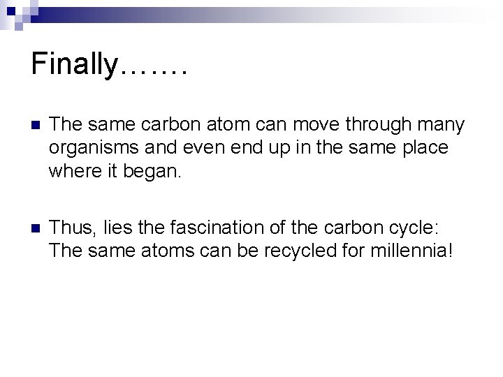 Finally……. n The same carbon atom can move through many organisms and even end