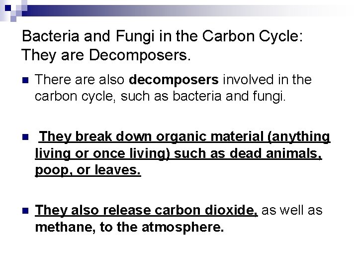 Bacteria and Fungi in the Carbon Cycle: They are Decomposers. n There also decomposers
