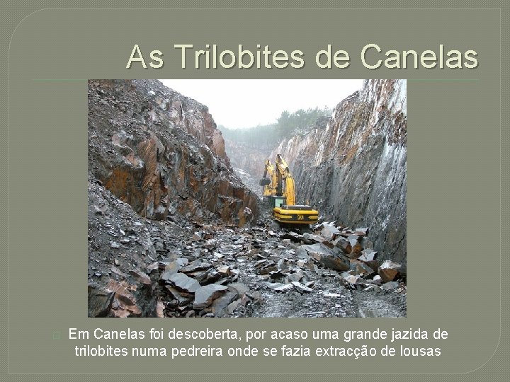 As Trilobites de Canelas � Em Canelas foi descoberta, por acaso uma grande jazida