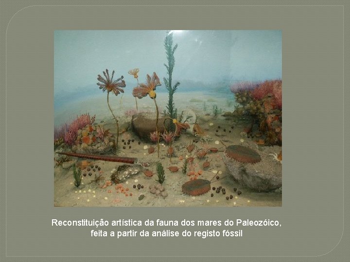 Reconstituição artística da fauna dos mares do Paleozóico, feita a partir da análise do
