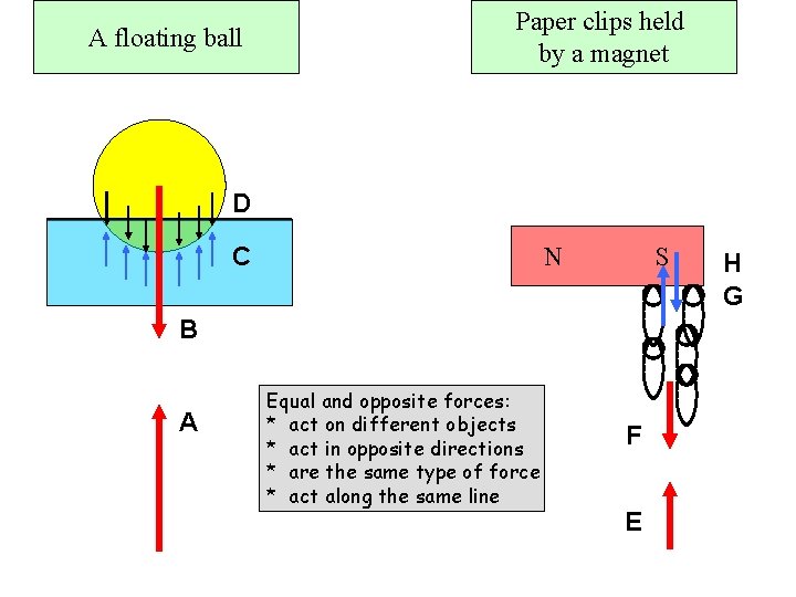 A floating ball Paper clips held by a magnet D C N S B A floating ball Paper clips held by a magnet D C N S B