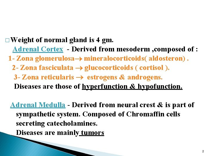 ADRENAL GLAND Dr Bushra AlTarawneh Weight of normal