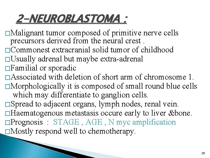 2 -NEUROBLASTOMA : � Malignant tumor composed of primitive nerve cells precursors derived from