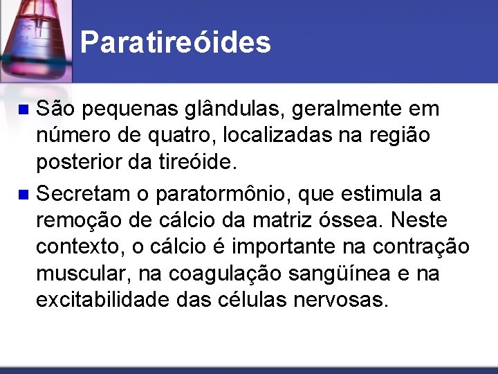 Paratireóides São pequenas glândulas, geralmente em número de quatro, localizadas na região posterior da