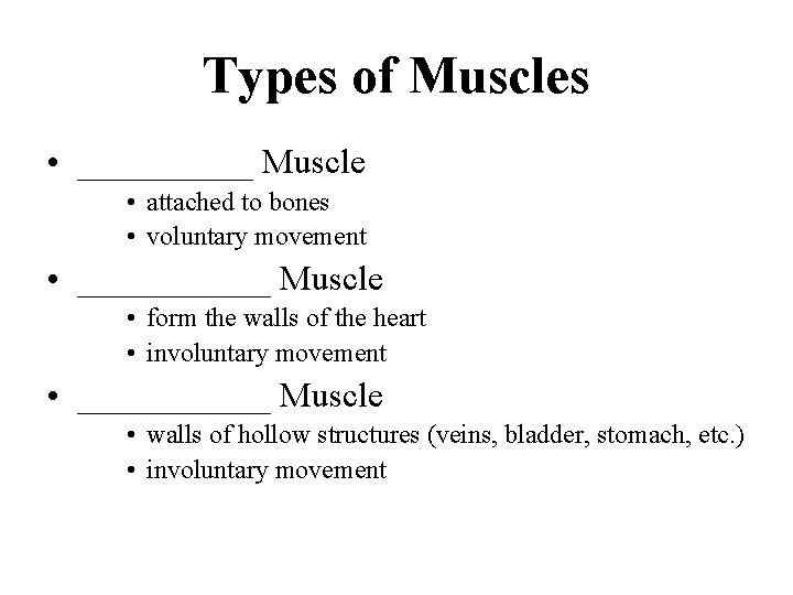 Types of Muscles • _____ Muscle • attached to bones • voluntary movement •