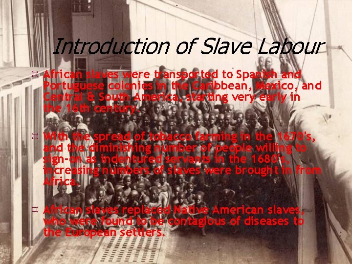 Introduction of Slave Labour African slaves were transported to Spanish and Portuguese colonies in