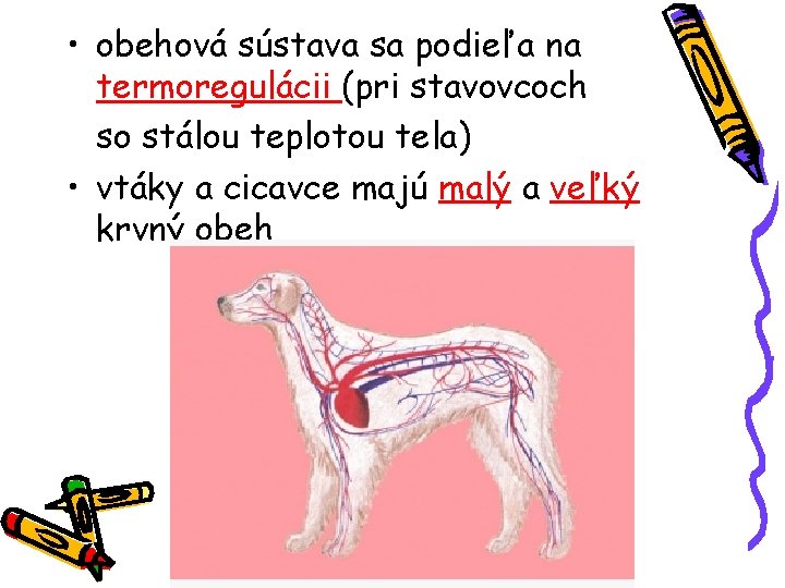  • obehová sústava sa podieľa na termoregulácii (pri stavovcoch so stálou teplotou tela)