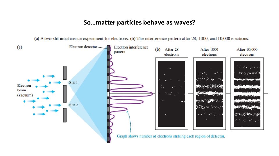 So…matter particles behave as waves? 