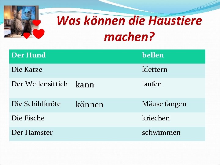 Was können die Haustiere machen? Der Hund bellen Die Katze klettern Der Wellensittich kann